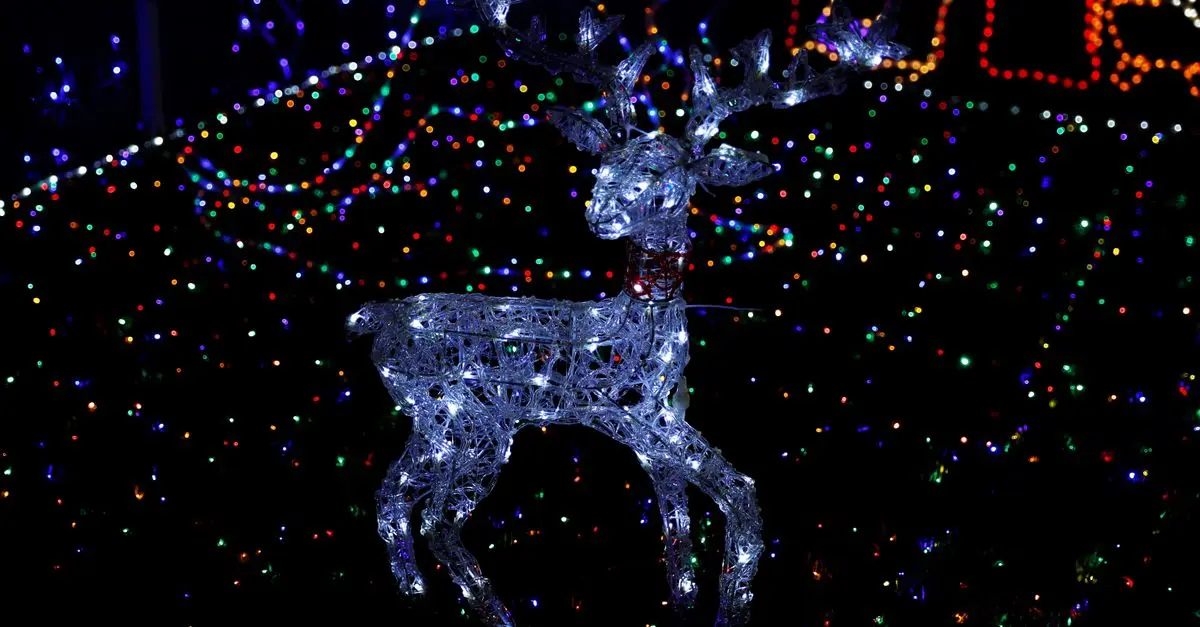 Comment Créer un Spectacle de Lumières Éblouissant pour Noël