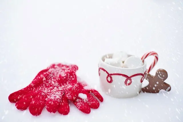 Comment Créer une Ambiance Magique de Noël à la Maison