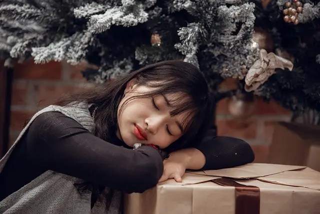 Les Secrets pour Créer une Magie de Noël Éblouissante