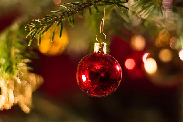 Comment Créer un Noël Magique avec des Décorations Écologiques