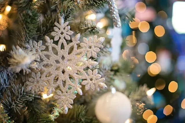 Plongée dans la Magie de Noël : Inspirations Incontournables