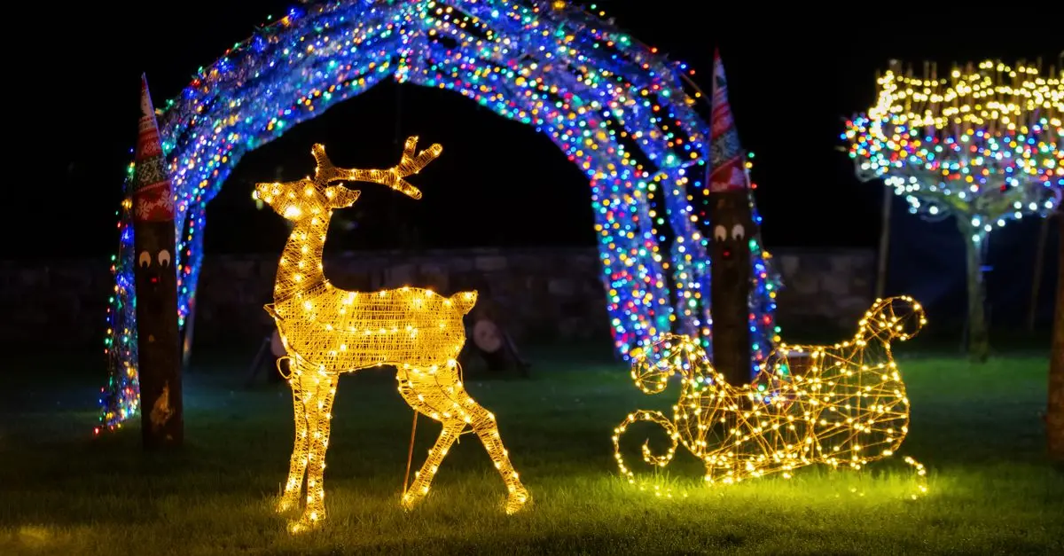 Créer un Spectacle de Lumières Éblouissant pour Noël