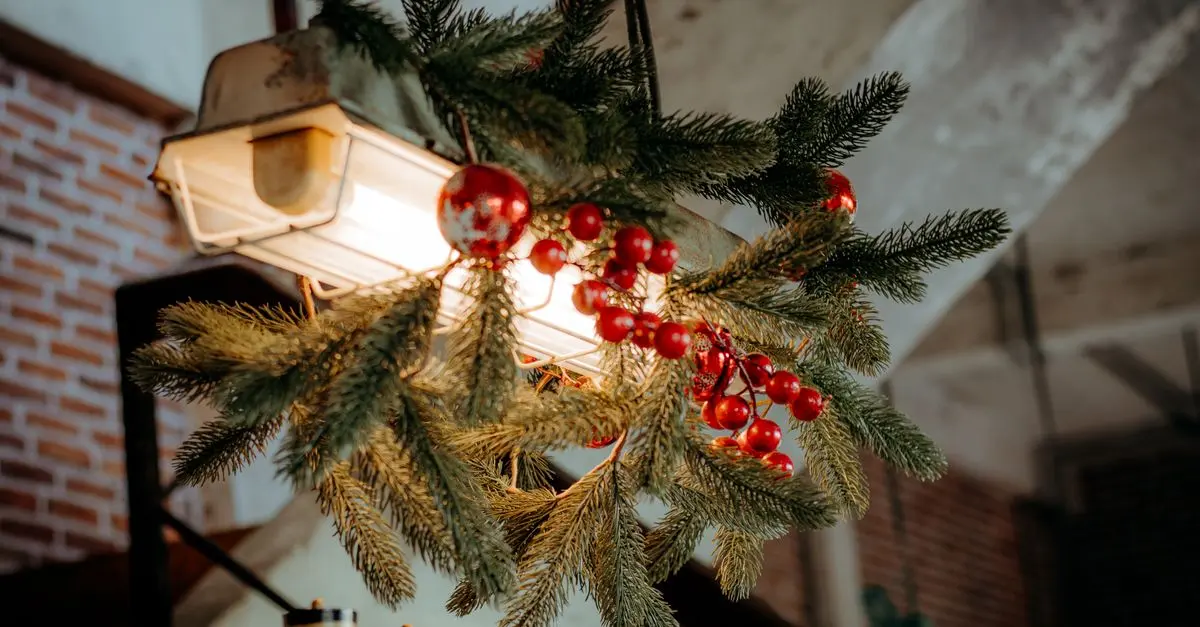 Créer un Noël Écologique : Astuces pour un Futur Durable
