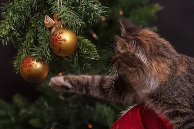 Les Secrets d'une Décoration de Noël Magique