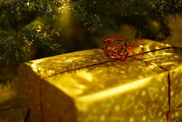 Comment Créer des Souvenirs Magiques de Noël en Famille