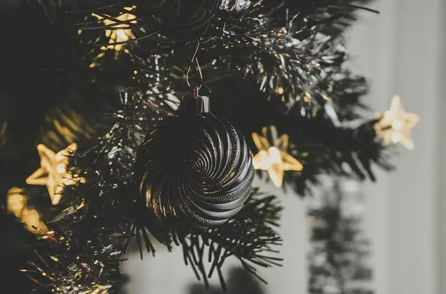 Les 10 Meilleures Activités Magiques à Faire en Famille pour Noël