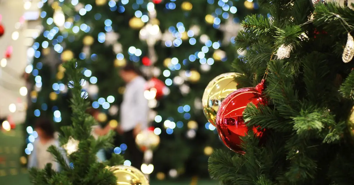 Les 10 Meilleures Traditions de Noël à Adopter pour Éveiller la Magie