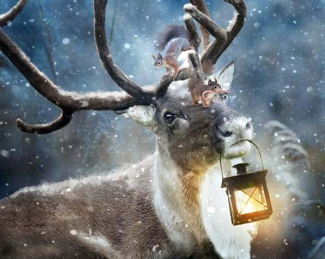 Créer un Noël Magique avec des Décorations Écologiques