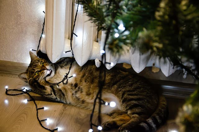 10 Astuces pour Éveiller l'Esprit de Noël chez Vous