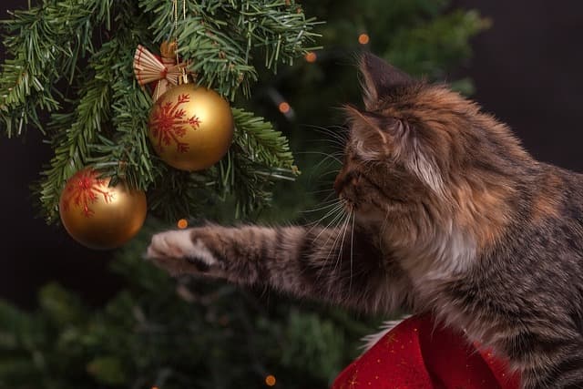 Comment Créer une Magie de Noël Éblouissante avec vos Enfants