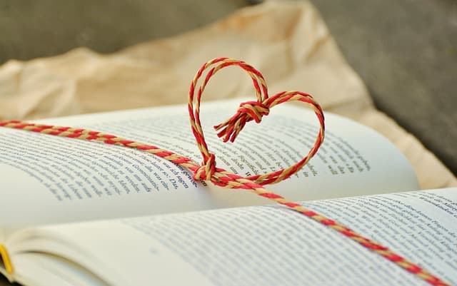 Comment Créer un Noël Magique avec des Traditions Étonnantes