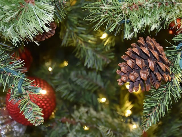Créer une Ambiance Magique de Noël avec des Éléments Naturels