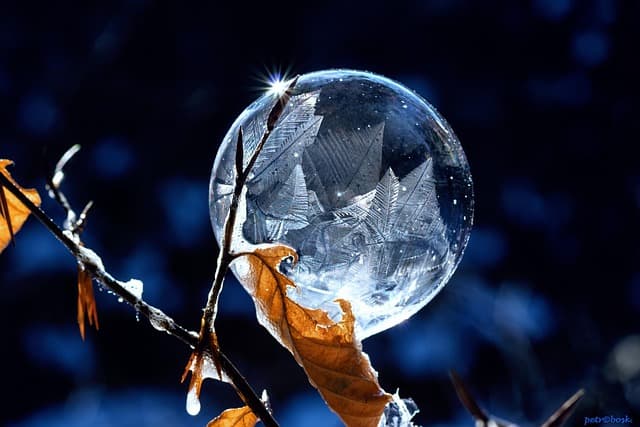 Les Secrets pour Créer une Magie de Noël Éblouissante